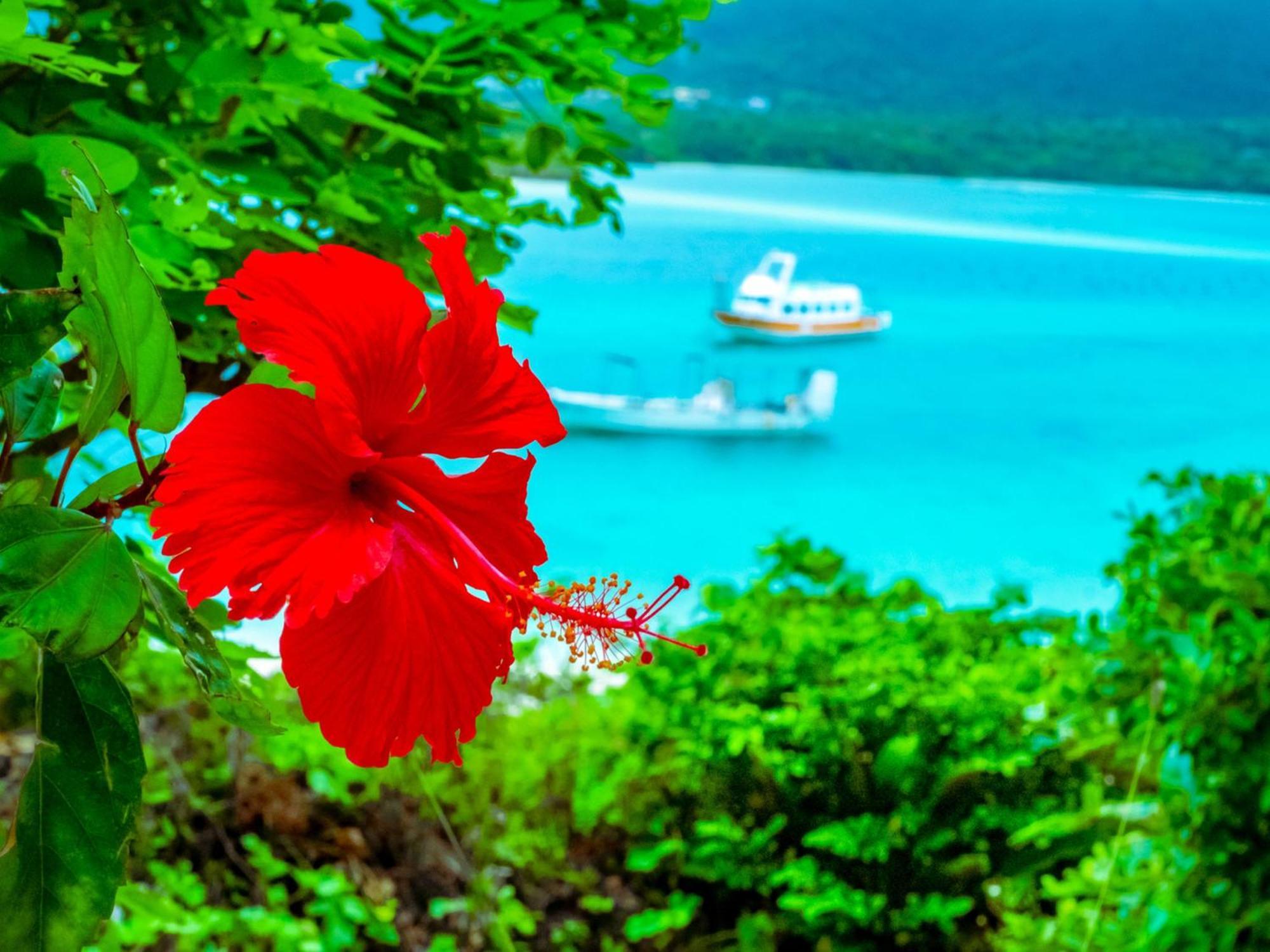 Guesthouse Asibina Ishigaki  Esterno foto